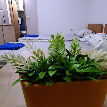 Apartment Riki 3 Near Bus Station Охрид Екстериор снимка