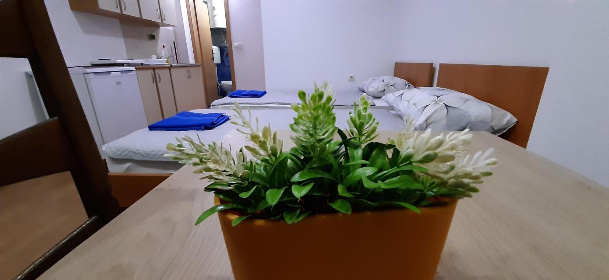 Apartment Riki 3 Near Bus Station Охрид Екстериор снимка